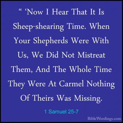 1 Samuel 25-7 - " 'Now I Hear That It Is Sheep-shearing Time. Whe" 'Now I Hear That It Is Sheep-shearing Time. When Your Shepherds Were With Us, We Did Not Mistreat Them, And The Whole Time They Were At Carmel Nothing Of Theirs Was Missing. 