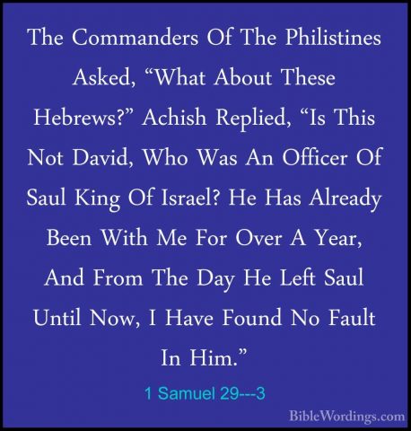 1 Samuel 29---3 - The Commanders Of The Philistines Asked, "WhatThe Commanders Of The Philistines Asked, "What About These Hebrews?" Achish Replied, "Is This Not David, Who Was An Officer Of Saul King Of Israel? He Has Already Been With Me For Over A Year, And From The Day He Left Saul Until Now, I Have Found No Fault In Him." 