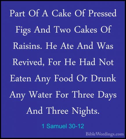 1 Samuel 30-12 - Part Of A Cake Of Pressed Figs And Two Cakes OfPart Of A Cake Of Pressed Figs And Two Cakes Of Raisins. He Ate And Was Revived, For He Had Not Eaten Any Food Or Drunk Any Water For Three Days And Three Nights. 