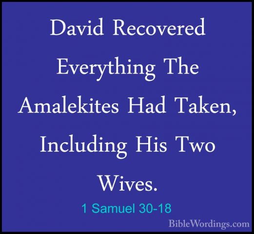 1 Samuel 30-18 - David Recovered Everything The Amalekites Had TaDavid Recovered Everything The Amalekites Had Taken, Including His Two Wives. 