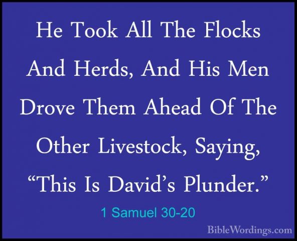 1 Samuel 30-20 - He Took All The Flocks And Herds, And His Men DrHe Took All The Flocks And Herds, And His Men Drove Them Ahead Of The Other Livestock, Saying, "This Is David's Plunder." 