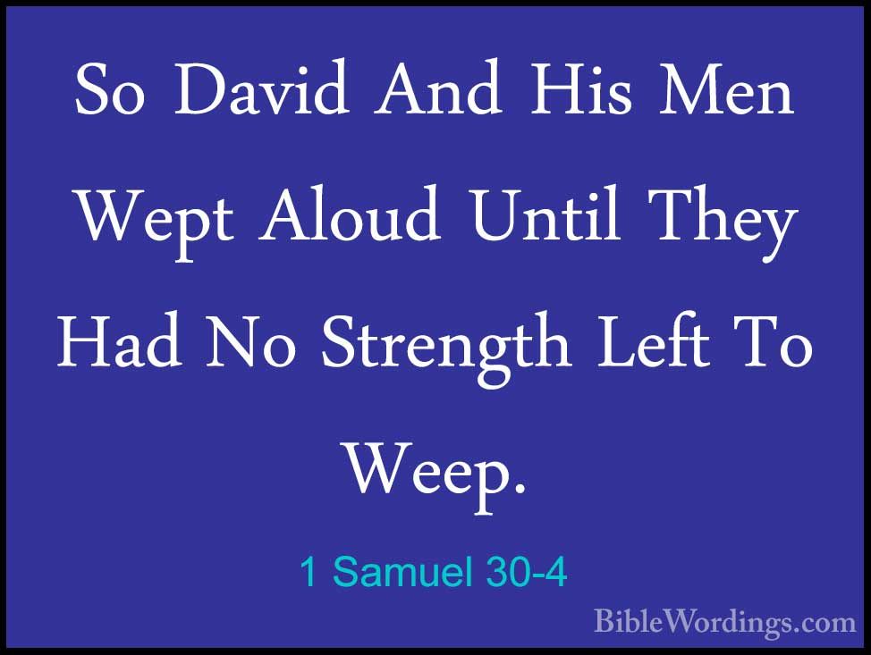 1 Samuel 30 Holy Bible English