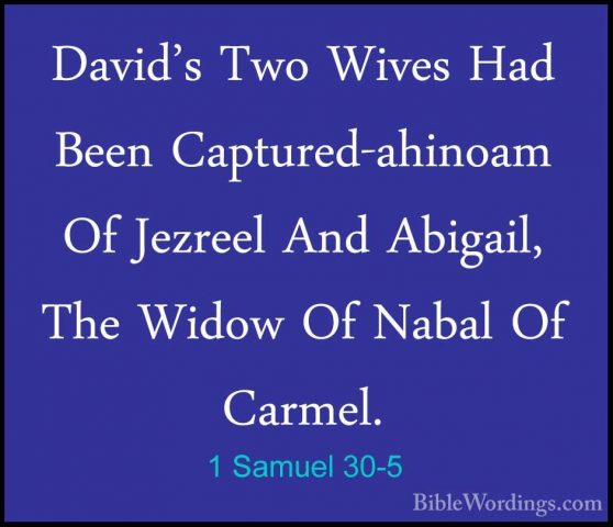 1 Samuel 30-5 - David's Two Wives Had Been Captured-ahinoam Of JeDavid's Two Wives Had Been Captured-ahinoam Of Jezreel And Abigail, The Widow Of Nabal Of Carmel. 