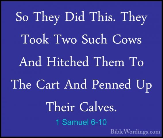 1 Samuel 6-10 - So They Did This. They Took Two Such Cows And HitSo They Did This. They Took Two Such Cows And Hitched Them To The Cart And Penned Up Their Calves. 