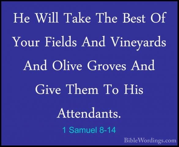 1 Samuel 8-14 - He Will Take The Best Of Your Fields And VineyardHe Will Take The Best Of Your Fields And Vineyards And Olive Groves And Give Them To His Attendants. 