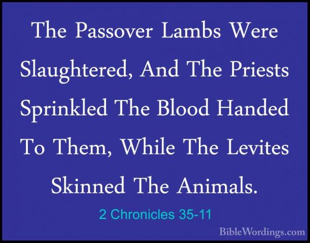 2 Chronicles 35-11 - The Passover Lambs Were Slaughtered, And TheThe Passover Lambs Were Slaughtered, And The Priests Sprinkled The Blood Handed To Them, While The Levites Skinned The Animals. 