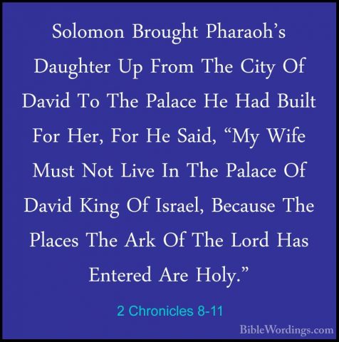 2 Chronicles 8-11 - Solomon Brought Pharaoh's Daughter Up From ThSolomon Brought Pharaoh's Daughter Up From The City Of David To The Palace He Had Built For Her, For He Said, "My Wife Must Not Live In The Palace Of David King Of Israel, Because The Places The Ark Of The Lord Has Entered Are Holy." 