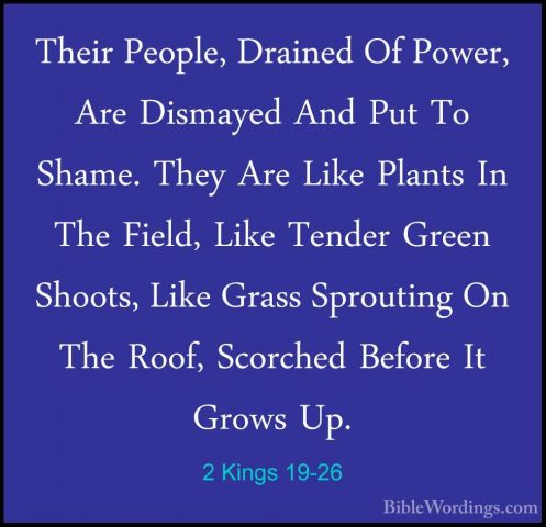 2 Kings 19-26 - Their People, Drained Of Power, Are Dismayed AndTheir People, Drained Of Power, Are Dismayed And Put To Shame. They Are Like Plants In The Field, Like Tender Green Shoots, Like Grass Sprouting On The Roof, Scorched Before It Grows Up. 