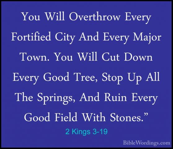 2 Kings 3-19 - You Will Overthrow Every Fortified City And EveryYou Will Overthrow Every Fortified City And Every Major Town. You Will Cut Down Every Good Tree, Stop Up All The Springs, And Ruin Every Good Field With Stones." 