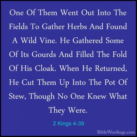 2 Kings 4-39 - One Of Them Went Out Into The Fields To Gather HerOne Of Them Went Out Into The Fields To Gather Herbs And Found A Wild Vine. He Gathered Some Of Its Gourds And Filled The Fold Of His Cloak. When He Returned, He Cut Them Up Into The Pot Of Stew, Though No One Knew What They Were. 