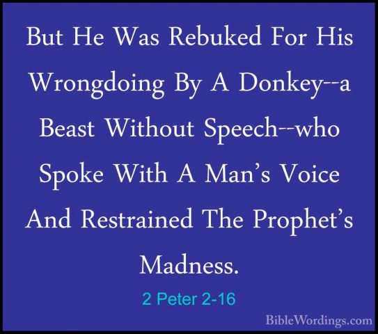 2 Peter 2-16 - But He Was Rebuked For His Wrongdoing By A Donkey-But He Was Rebuked For His Wrongdoing By A Donkey--a Beast Without Speech--who Spoke With A Man's Voice And Restrained The Prophet's Madness. 