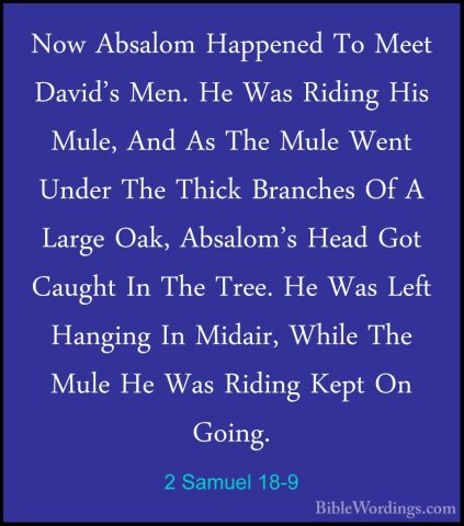 2 Samuel 18-9 - Now Absalom Happened To Meet David's Men. He WasNow Absalom Happened To Meet David's Men. He Was Riding His Mule, And As The Mule Went Under The Thick Branches Of A Large Oak, Absalom's Head Got Caught In The Tree. He Was Left Hanging In Midair, While The Mule He Was Riding Kept On Going. 