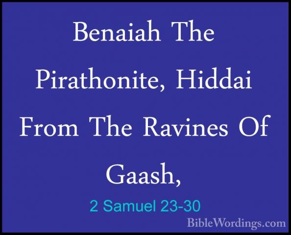 2 Samuel 23-30 - Benaiah The Pirathonite, Hiddai From The RavinesBenaiah The Pirathonite, Hiddai From The Ravines Of Gaash, 