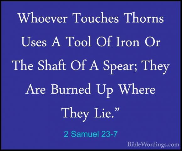 2 Samuel 23-7 - Whoever Touches Thorns Uses A Tool Of Iron Or TheWhoever Touches Thorns Uses A Tool Of Iron Or The Shaft Of A Spear; They Are Burned Up Where They Lie." 