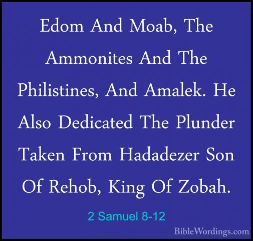 2 Samuel 8-12 - Edom And Moab, The Ammonites And The Philistines,Edom And Moab, The Ammonites And The Philistines, And Amalek. He Also Dedicated The Plunder Taken From Hadadezer Son Of Rehob, King Of Zobah. 