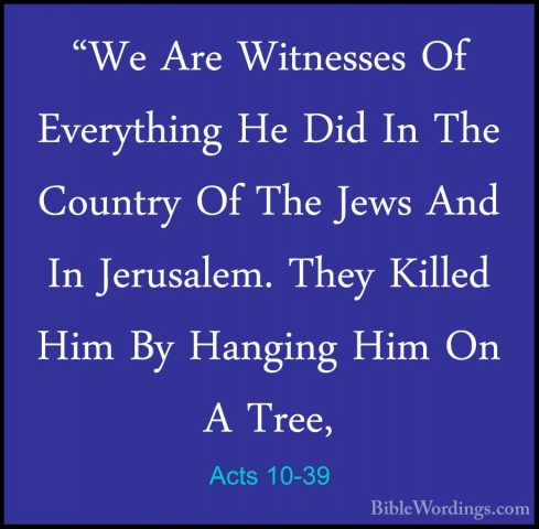 Acts 10-39 - "We Are Witnesses Of Everything He Did In The Countr"We Are Witnesses Of Everything He Did In The Country Of The Jews And In Jerusalem. They Killed Him By Hanging Him On A Tree, 