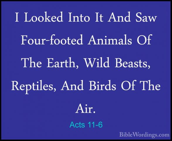 Acts 11-6 - I Looked Into It And Saw Four-footed Animals Of The EI Looked Into It And Saw Four-footed Animals Of The Earth, Wild Beasts, Reptiles, And Birds Of The Air. 