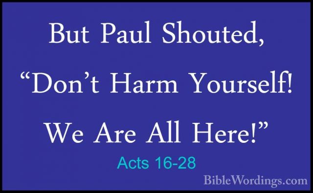 Acts 16-28 - But Paul Shouted, "Don't Harm Yourself! We Are All HBut Paul Shouted, "Don't Harm Yourself! We Are All Here!" 
