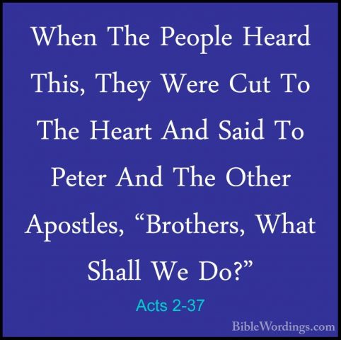 Acts 2-37 - When The People Heard This, They Were Cut To The HearWhen The People Heard This, They Were Cut To The Heart And Said To Peter And The Other Apostles, "Brothers, What Shall We Do?" 