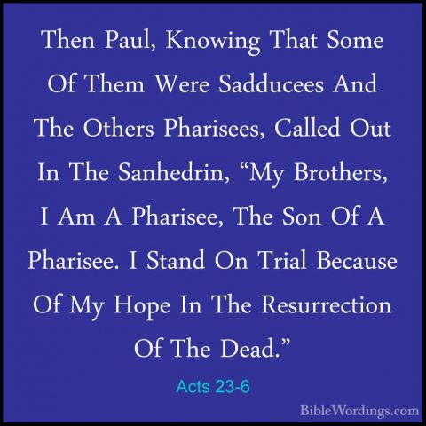 Acts 23-6 - Then Paul, Knowing That Some Of Them Were Sadducees AThen Paul, Knowing That Some Of Them Were Sadducees And The Others Pharisees, Called Out In The Sanhedrin, "My Brothers, I Am A Pharisee, The Son Of A Pharisee. I Stand On Trial Because Of My Hope In The Resurrection Of The Dead." 