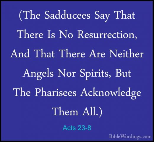 Acts 23-8 - (The Sadducees Say That There Is No Resurrection, And(The Sadducees Say That There Is No Resurrection, And That There Are Neither Angels Nor Spirits, But The Pharisees Acknowledge Them All.) 