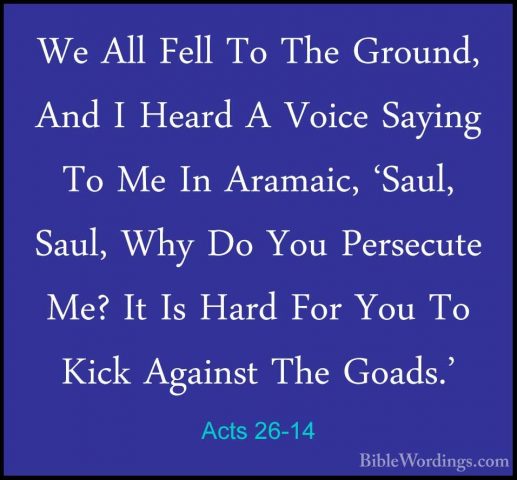 Acts 26-14 - We All Fell To The Ground, And I Heard A Voice SayinWe All Fell To The Ground, And I Heard A Voice Saying To Me In Aramaic, 'Saul, Saul, Why Do You Persecute Me? It Is Hard For You To Kick Against The Goads.' 