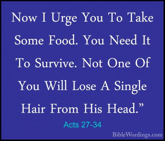 Acts 27-34 - Now I Urge You To Take Some Food. You Need It To SurNow I Urge You To Take Some Food. You Need It To Survive. Not One Of You Will Lose A Single Hair From His Head." 