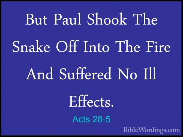 Acts 28-5 - But Paul Shook The Snake Off Into The Fire And SufferBut Paul Shook The Snake Off Into The Fire And Suffered No Ill Effects. 