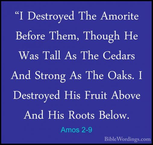 Amos 2-9 - "I Destroyed The Amorite Before Them, Though He Was Ta"I Destroyed The Amorite Before Them, Though He Was Tall As The Cedars And Strong As The Oaks. I Destroyed His Fruit Above And His Roots Below. 