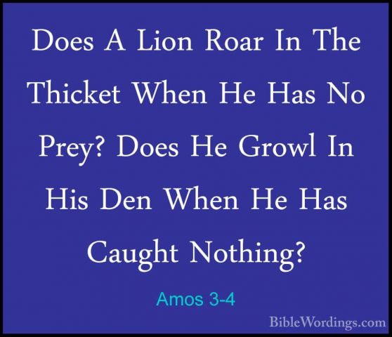Amos 3-4 - Does A Lion Roar In The Thicket When He Has No Prey? DDoes A Lion Roar In The Thicket When He Has No Prey? Does He Growl In His Den When He Has Caught Nothing? 
