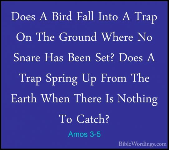 Amos 3-5 - Does A Bird Fall Into A Trap On The Ground Where No SnDoes A Bird Fall Into A Trap On The Ground Where No Snare Has Been Set? Does A Trap Spring Up From The Earth When There Is Nothing To Catch? 