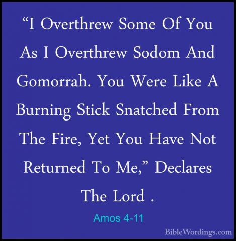 Amos 4-11 - "I Overthrew Some Of You As I Overthrew Sodom And Gom"I Overthrew Some Of You As I Overthrew Sodom And Gomorrah. You Were Like A Burning Stick Snatched From The Fire, Yet You Have Not Returned To Me," Declares The Lord . 