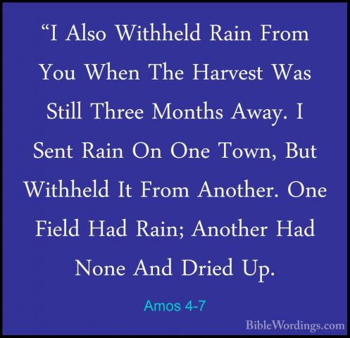 Amos 4-7 - "I Also Withheld Rain From You When The Harvest Was St"I Also Withheld Rain From You When The Harvest Was Still Three Months Away. I Sent Rain On One Town, But Withheld It From Another. One Field Had Rain; Another Had None And Dried Up. 