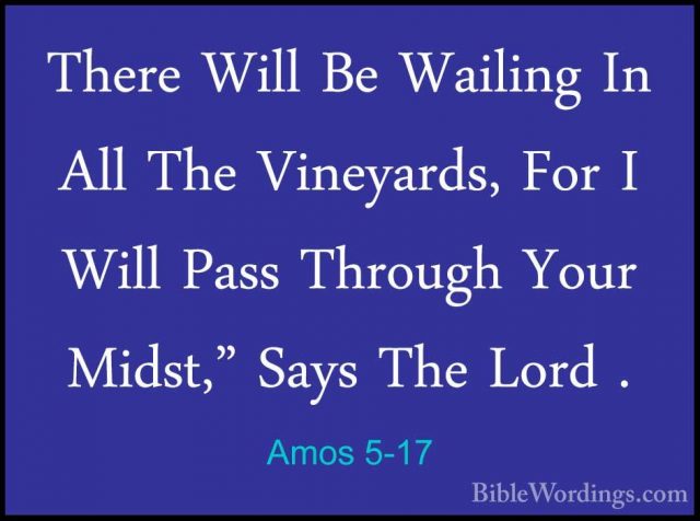 Amos 5-17 - There Will Be Wailing In All The Vineyards, For I WilThere Will Be Wailing In All The Vineyards, For I Will Pass Through Your Midst," Says The Lord . 