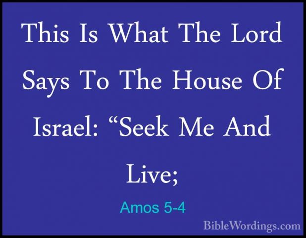 Amos 5-4 - This Is What The Lord Says To The House Of Israel: "SeThis Is What The Lord Says To The House Of Israel: "Seek Me And Live; 
