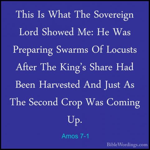 Amos 7-1 - This Is What The Sovereign Lord Showed Me: He Was PrepThis Is What The Sovereign Lord Showed Me: He Was Preparing Swarms Of Locusts After The King's Share Had Been Harvested And Just As The Second Crop Was Coming Up. 