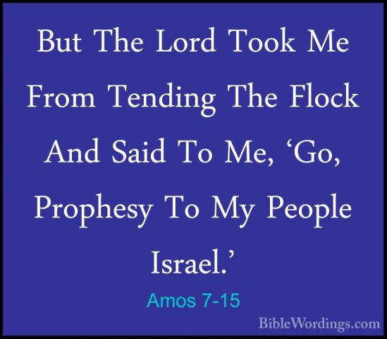 Amos 7-15 - But The Lord Took Me From Tending The Flock And SaidBut The Lord Took Me From Tending The Flock And Said To Me, 'Go, Prophesy To My People Israel.' 