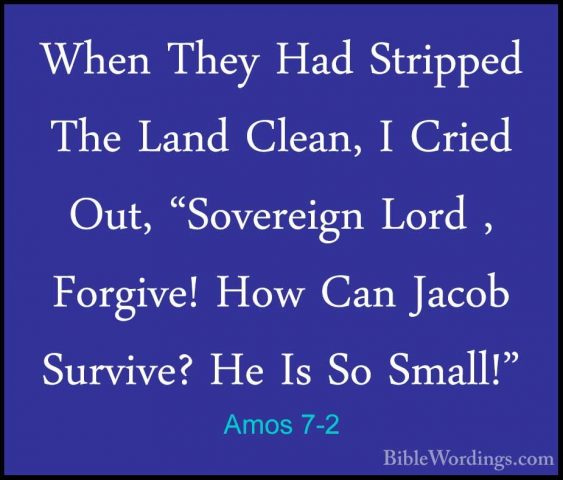 Amos 7-2 - When They Had Stripped The Land Clean, I Cried Out, "SWhen They Had Stripped The Land Clean, I Cried Out, "Sovereign Lord , Forgive! How Can Jacob Survive? He Is So Small!" 