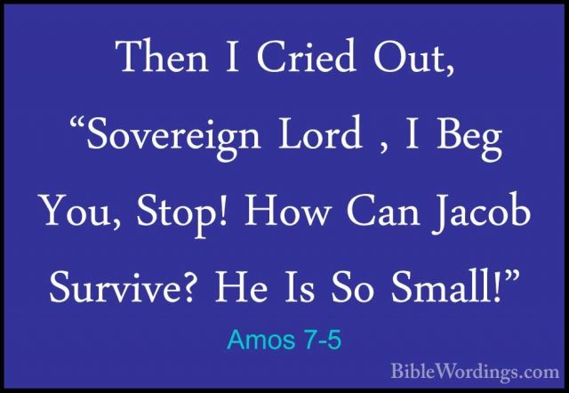 Amos 7-5 - Then I Cried Out, "Sovereign Lord , I Beg You, Stop! HThen I Cried Out, "Sovereign Lord , I Beg You, Stop! How Can Jacob Survive? He Is So Small!" 