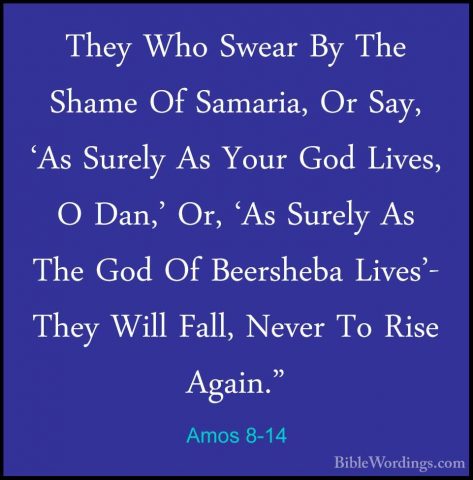 Amos 8-14 - They Who Swear By The Shame Of Samaria, Or Say, 'As SThey Who Swear By The Shame Of Samaria, Or Say, 'As Surely As Your God Lives, O Dan,' Or, 'As Surely As The God Of Beersheba Lives'- They Will Fall, Never To Rise Again."