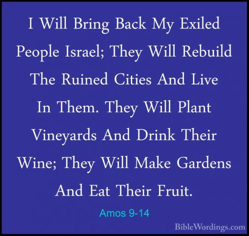 Amos 9-14 - I Will Bring Back My Exiled People Israel; They WillI Will Bring Back My Exiled People Israel; They Will Rebuild The Ruined Cities And Live In Them. They Will Plant Vineyards And Drink Their Wine; They Will Make Gardens And Eat Their Fruit. 