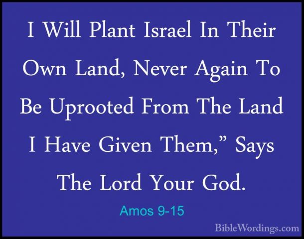 Amos 9-15 - I Will Plant Israel In Their Own Land, Never Again ToI Will Plant Israel In Their Own Land, Never Again To Be Uprooted From The Land I Have Given Them," Says The Lord Your God.