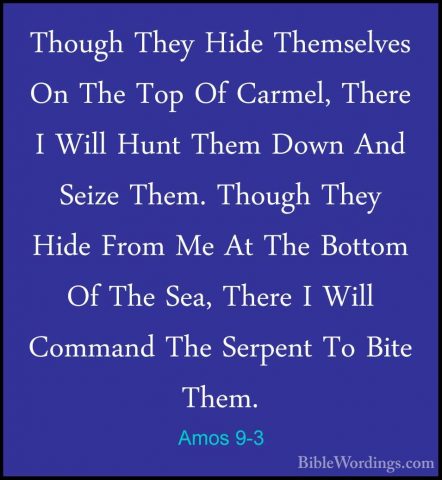 Amos 9-3 - Though They Hide Themselves On The Top Of Carmel, TherThough They Hide Themselves On The Top Of Carmel, There I Will Hunt Them Down And Seize Them. Though They Hide From Me At The Bottom Of The Sea, There I Will Command The Serpent To Bite Them. 