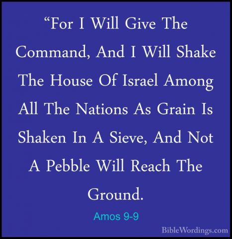 Amos 9-9 - "For I Will Give The Command, And I Will Shake The Hou"For I Will Give The Command, And I Will Shake The House Of Israel Among All The Nations As Grain Is Shaken In A Sieve, And Not A Pebble Will Reach The Ground. 