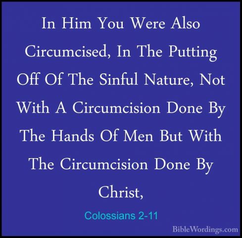 Colossians 2-11 - In Him You Were Also Circumcised, In The PuttinIn Him You Were Also Circumcised, In The Putting Off Of The Sinful Nature, Not With A Circumcision Done By The Hands Of Men But With The Circumcision Done By Christ, 