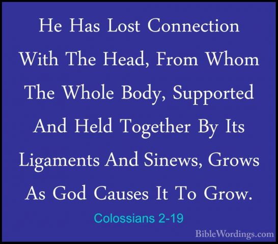 Colossians 2-19 - He Has Lost Connection With The Head, From WhomHe Has Lost Connection With The Head, From Whom The Whole Body, Supported And Held Together By Its Ligaments And Sinews, Grows As God Causes It To Grow. 