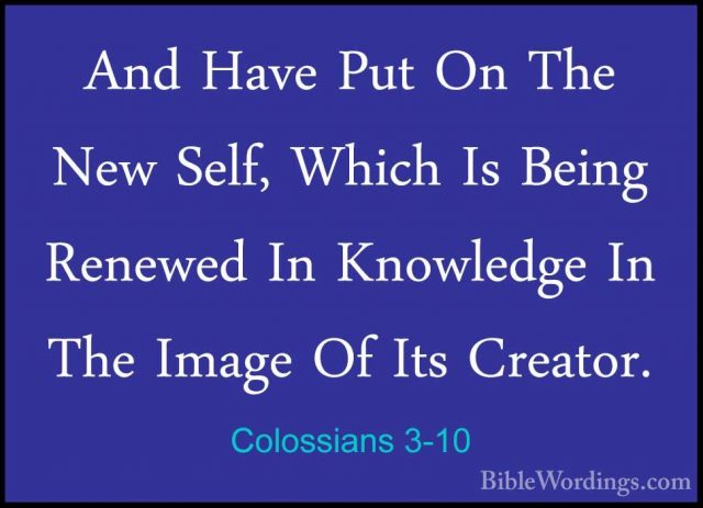 Colossians 3-10 - And Have Put On The New Self, Which Is Being ReAnd Have Put On The New Self, Which Is Being Renewed In Knowledge In The Image Of Its Creator. 