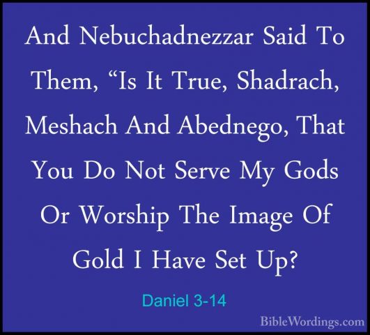 Daniel 3-14 - And Nebuchadnezzar Said To Them, "Is It True, ShadrAnd Nebuchadnezzar Said To Them, "Is It True, Shadrach, Meshach And Abednego, That You Do Not Serve My Gods Or Worship The Image Of Gold I Have Set Up? 