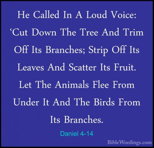Daniel 4-14 - He Called In A Loud Voice: 'Cut Down The Tree And THe Called In A Loud Voice: 'Cut Down The Tree And Trim Off Its Branches; Strip Off Its Leaves And Scatter Its Fruit. Let The Animals Flee From Under It And The Birds From Its Branches. 