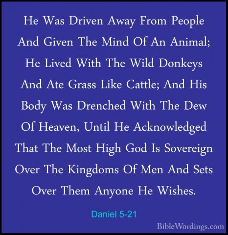 Daniel 5-21 - He Was Driven Away From People And Given The Mind OHe Was Driven Away From People And Given The Mind Of An Animal; He Lived With The Wild Donkeys And Ate Grass Like Cattle; And His Body Was Drenched With The Dew Of Heaven, Until He Acknowledged That The Most High God Is Sovereign Over The Kingdoms Of Men And Sets Over Them Anyone He Wishes. 